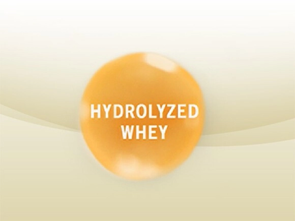 Partially Hydrolyzed Whey Protein