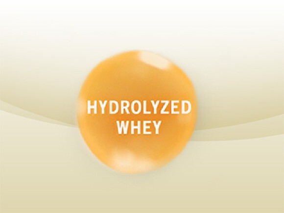 hydrolyzed-whey